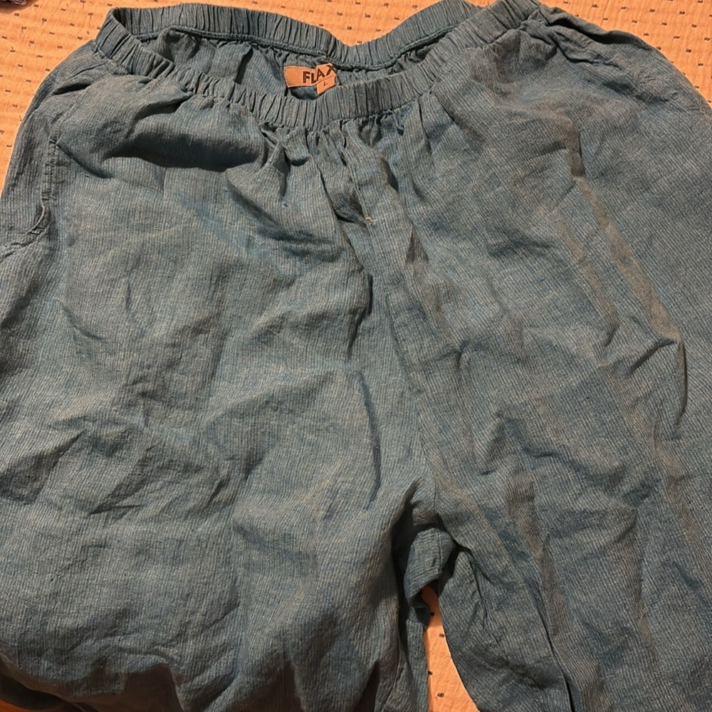Flax Teal Relaxed Pants - Picture 4 of 4